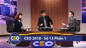 CEO 2018 - DOANH NGHIỆP VỮNG BỀN - Trận 13 Quản trị tài chính  (Phần 1)  - CEO TRẦN MẠNH ĐẠT