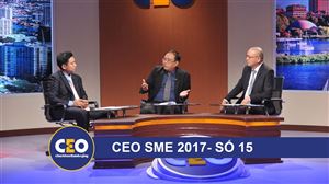 CEO 2017 - DOANH NGHIỆP GIA ĐÌNH - Trận 15 QUYỀN KIỂM SOÁT VÀ SỞ HỮU  - CEO Nguyễn Tri Phương